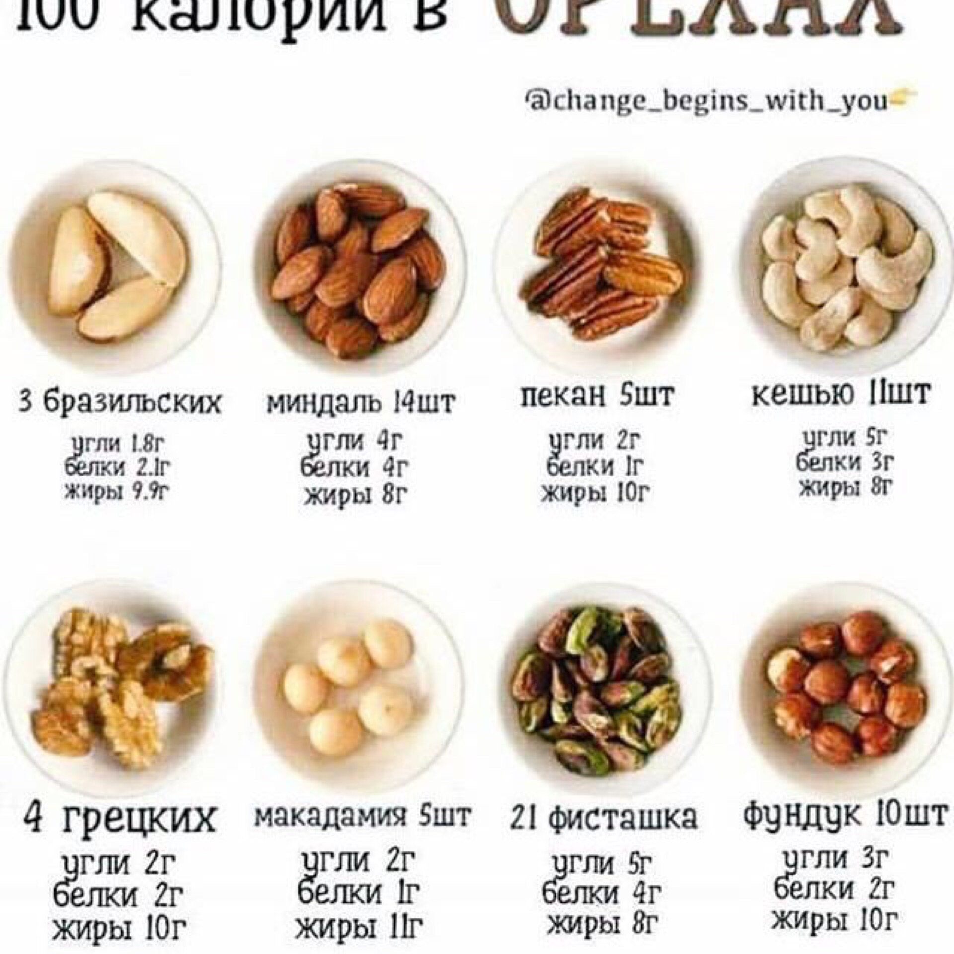 Сколько грамм белка в орехах