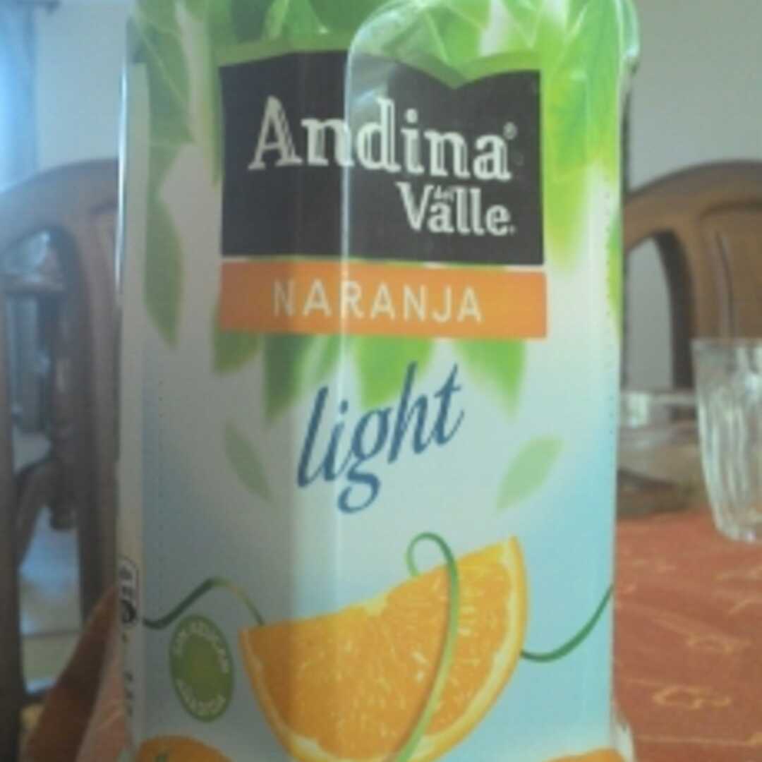 Andina Nectar de Naranja