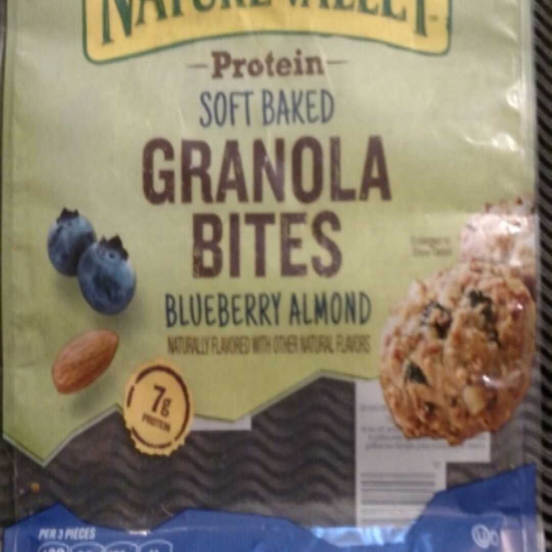 Nature Valley Protein Soft Baked Granola Bites Blueberry Almond