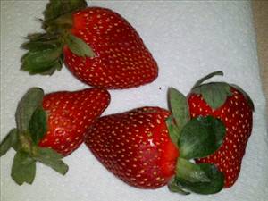 Woodstock Farms Whole Organic Strawberries