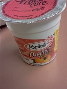 Lowfat Fruit Variety Yogurt