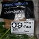 Sainsbury's Young Spinach