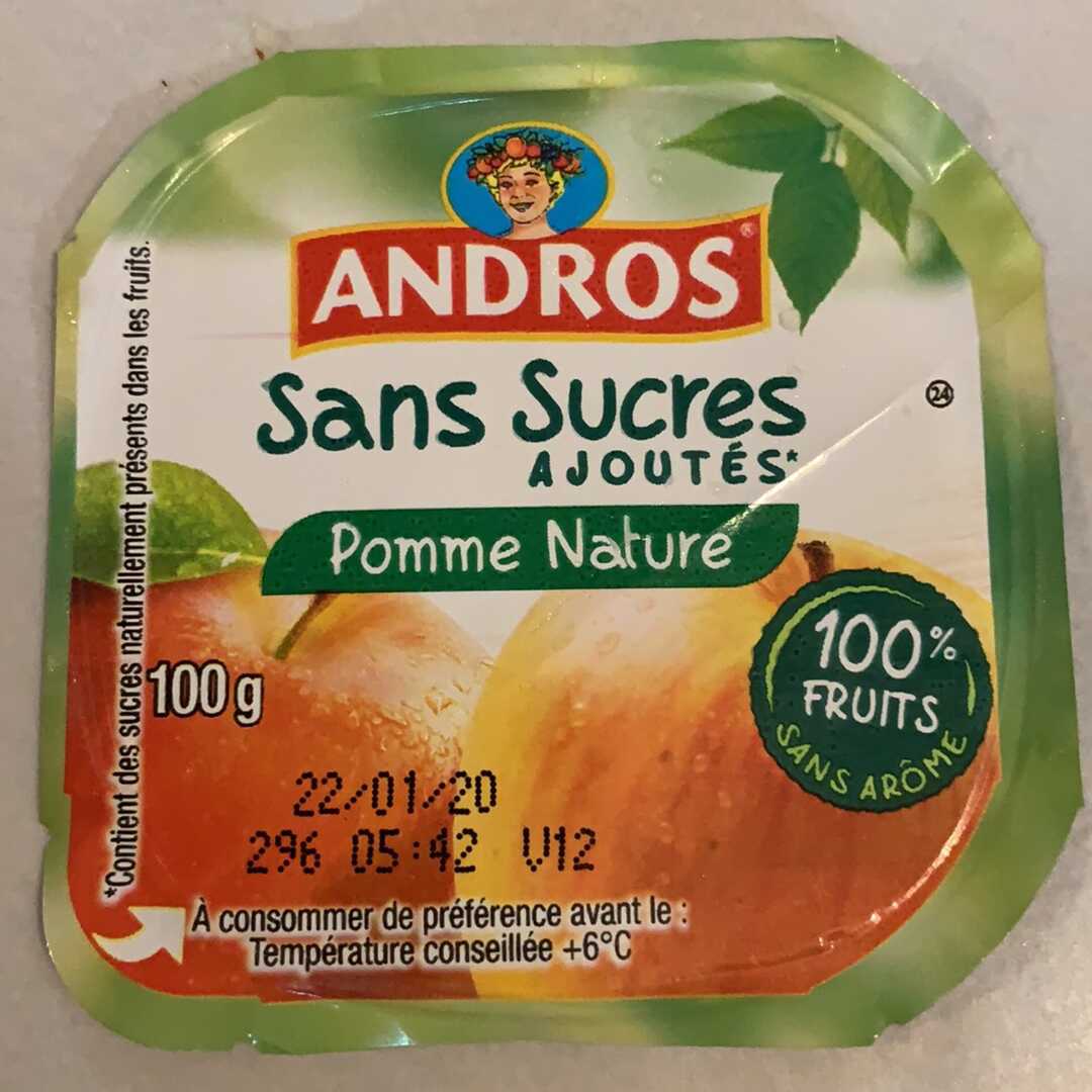 Andros Compote Pomme Nature sans Sucres Ajoutés