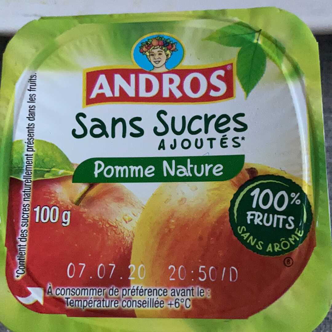 Andros Compote Pomme Nature sans Sucre Ajouté