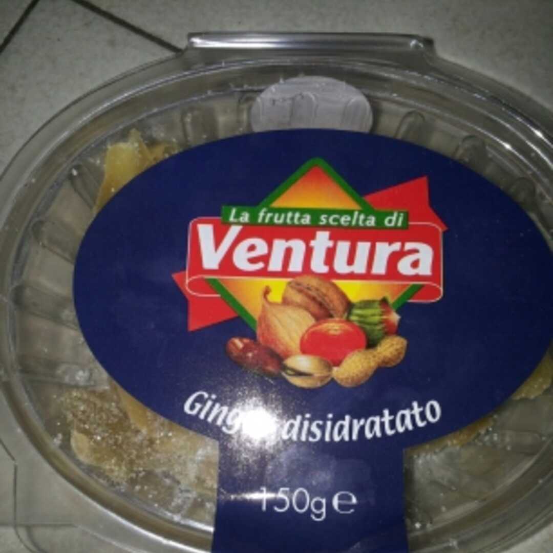 Ventura Ginger Disidratato