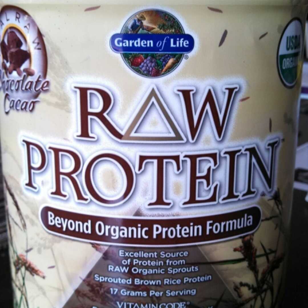 Garden of Life Raw Protein Chocolate Cacao