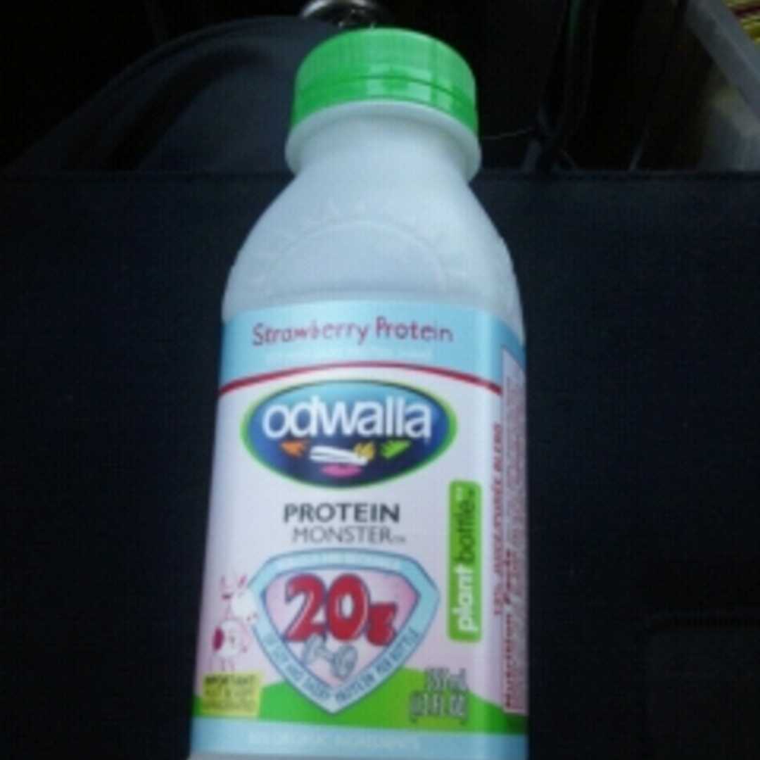 Odwalla Protein Monster - Strawberry (Bottle)