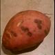 Sweet Potato (Without Salt, Baked In Skin, Cooked)