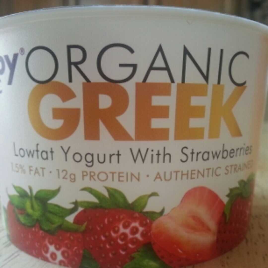 Wallaby Organic Lowfat Strawberry Yogurt