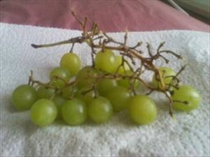 American Type Grapes (Slip Skin)