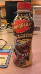 Darigold Low Fat Chocolate Milk