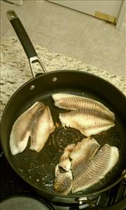 Tilapia (Fish) (Cooked, Dry Heat)