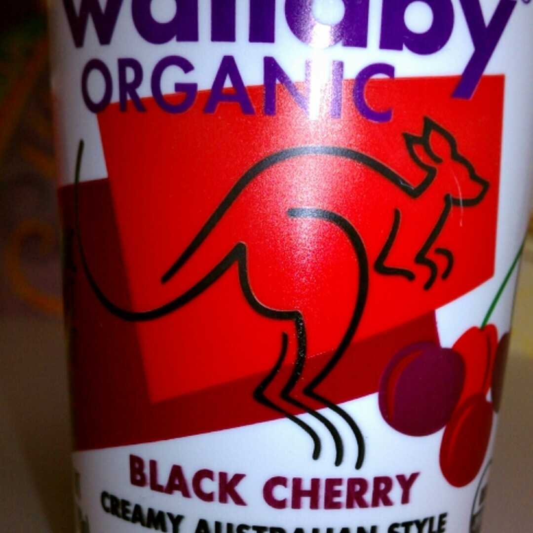 Wallaby Organic Lowfat Black Cherry Yogurt