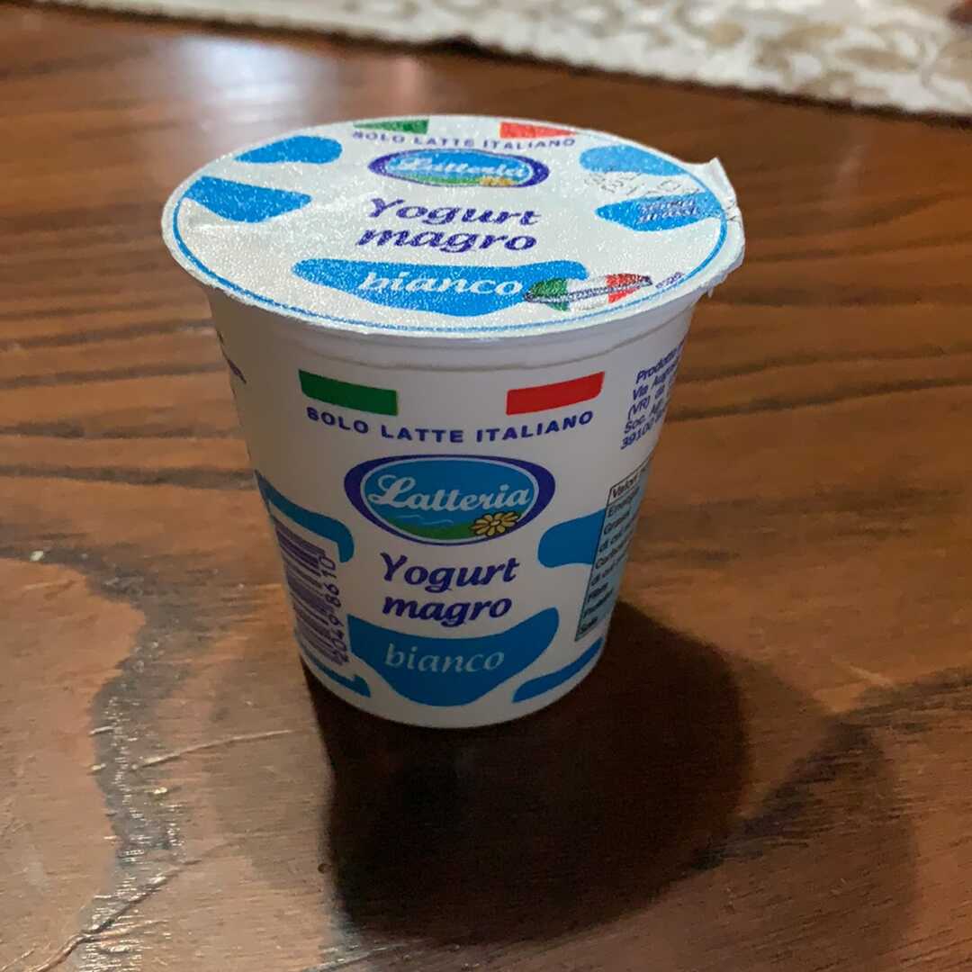 Latteria Yogurt Magro Bianco