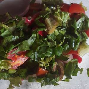 Lettuce Salad with Cheese, Tomato and/or Carrots