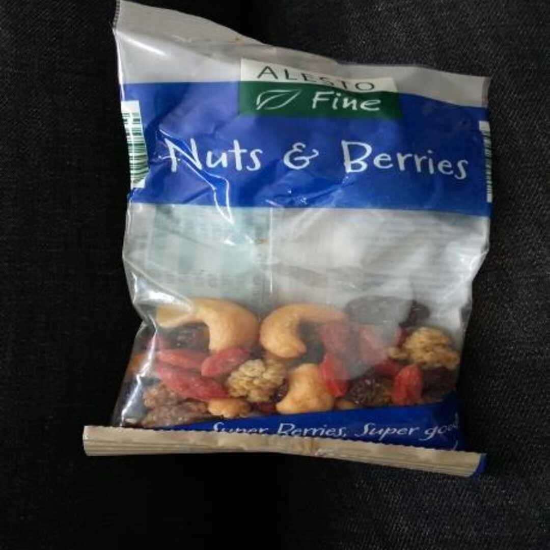 Alesto Fine Nuts & Berries