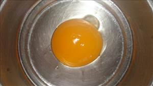 Yumurta Sarısı