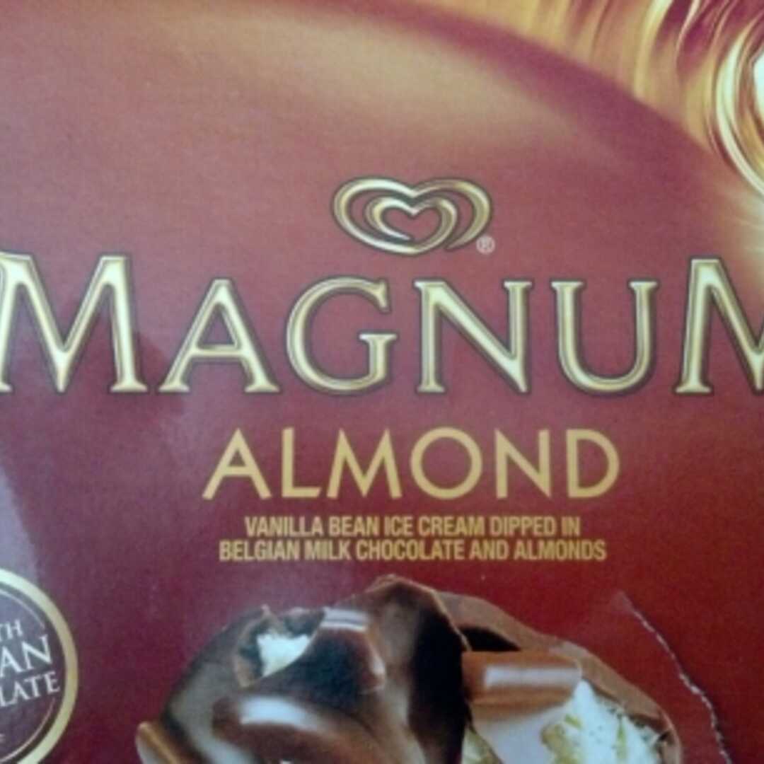 Magnum Almond Ice Cream Bar