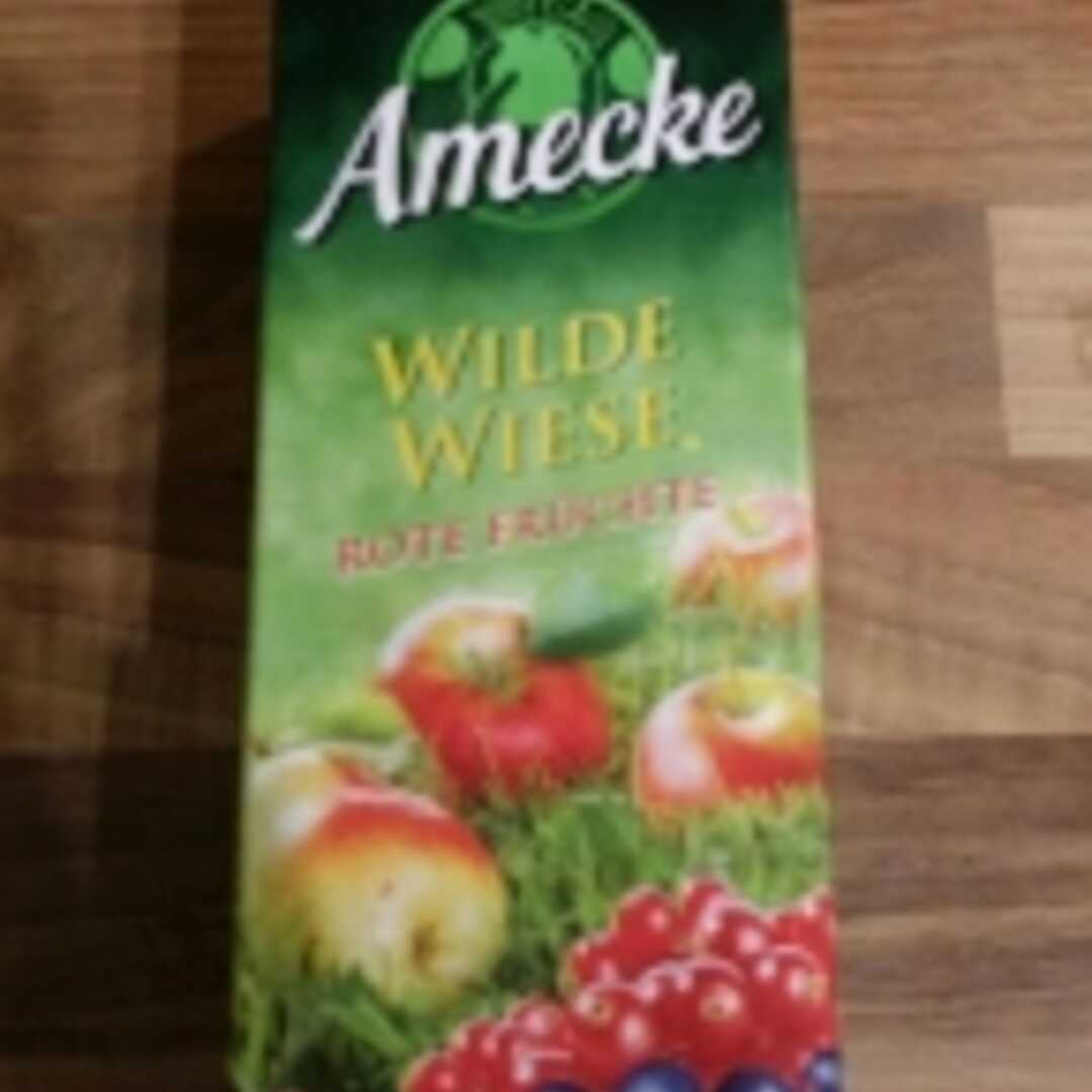 Amecke Wilde Wiese