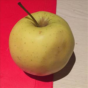 Pommes Delicieuses Dorées