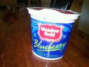 Meadow Gold Lowfat Blueberry Yogurt