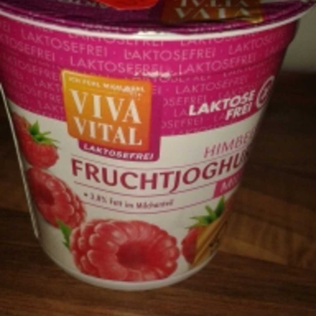 Viva Vital Fruchtjoghurt Mild