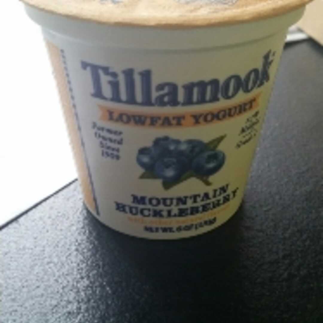 Tillamook Lowfat Mountain Huckleberry Yogurt