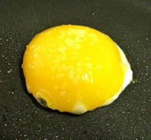 Cooked Egg Yolk