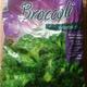 Beste Ernte Broccoli