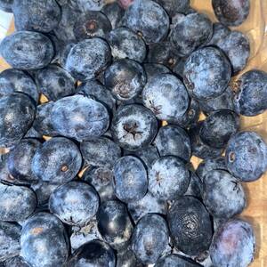 Blueberries