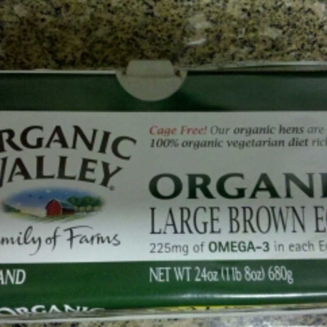 Organic Valley Omega-3 Large Brown Eggs