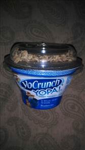 YoCrunch Greek Parfait with Real Blueberries
