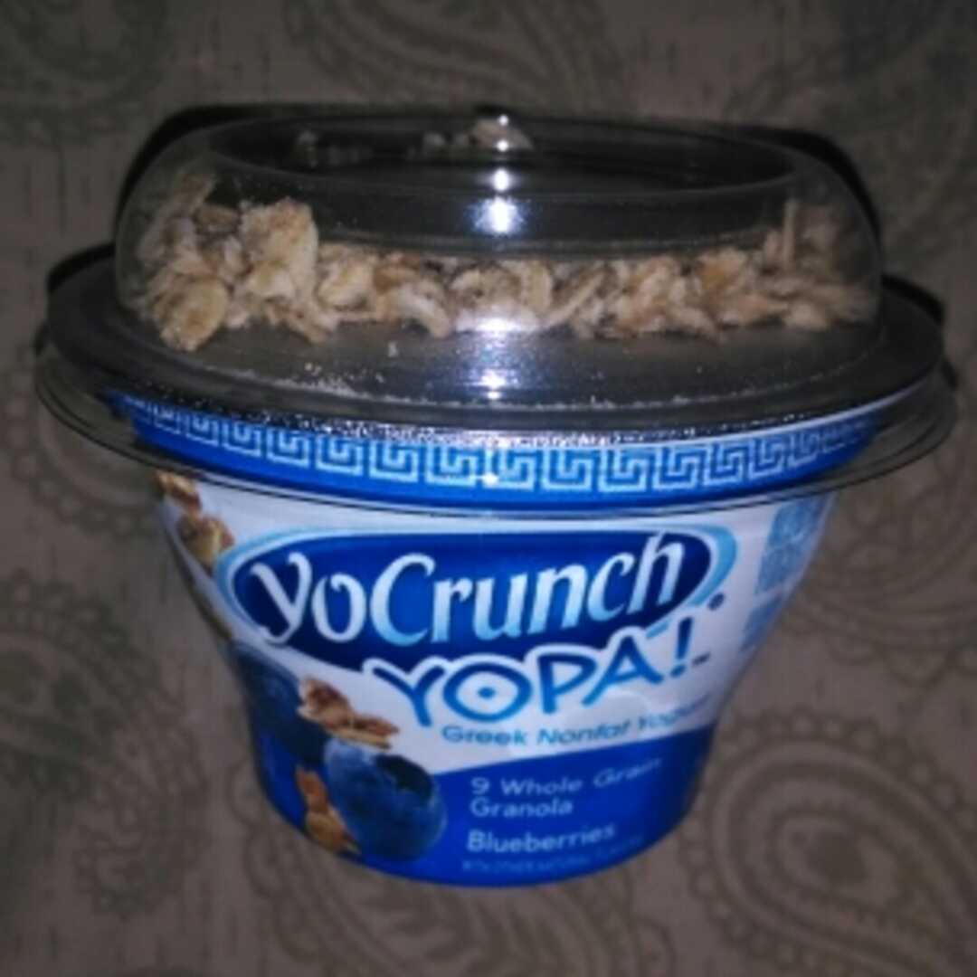YoCrunch Greek Parfait with Real Blueberries