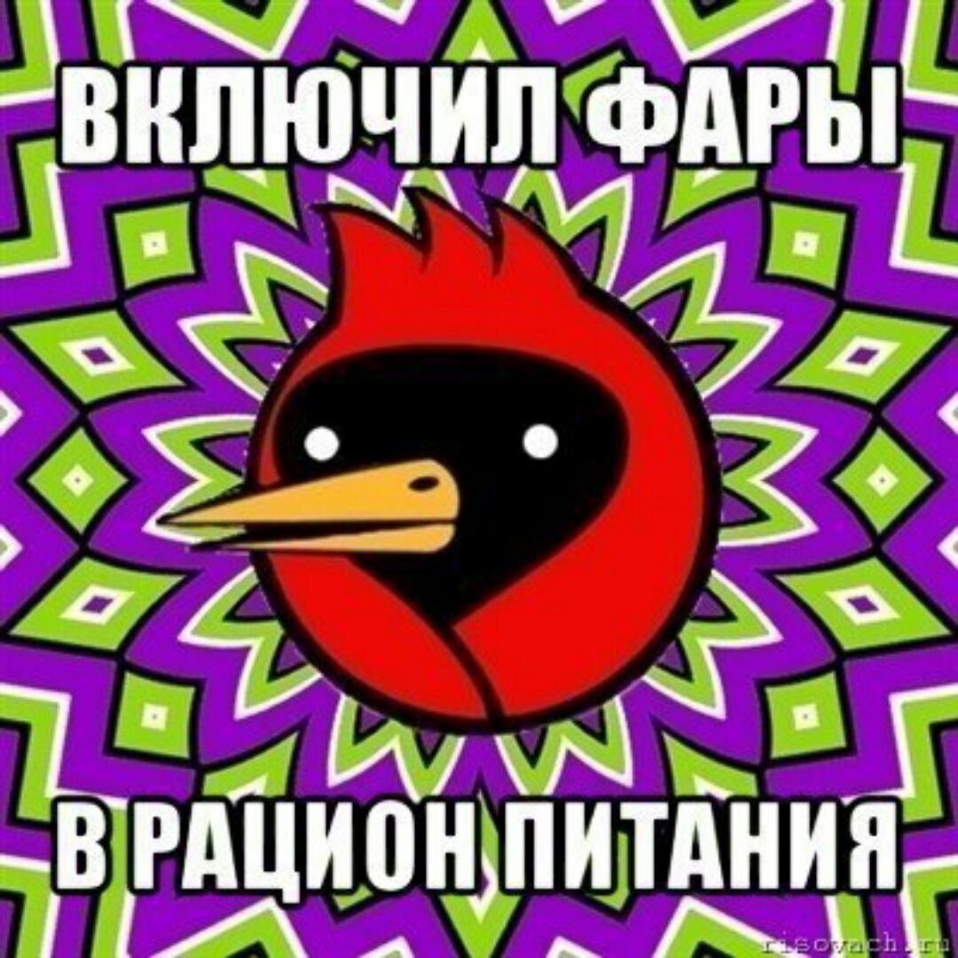 Глаза разуй. Омская птица. Омская птица Мем. Омская птица обнимает. Птица Мем.