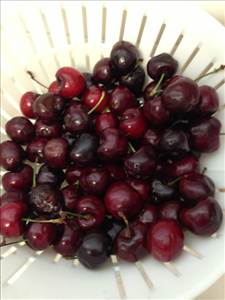 Red Sour Cherries