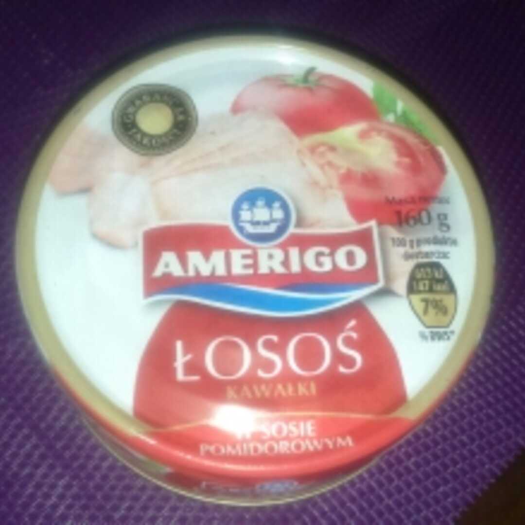 Amerigo Łosoś w Sosie Pomidorowym