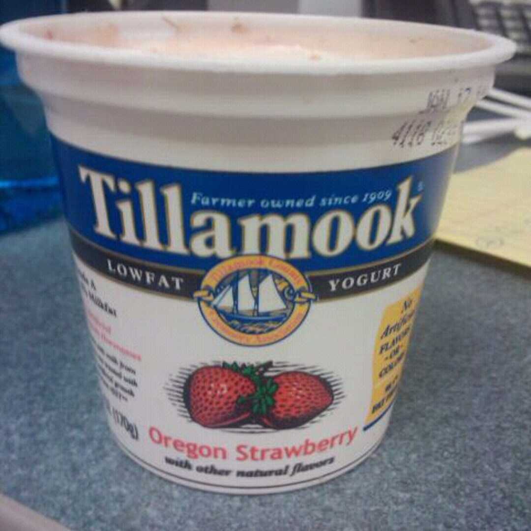 Tillamook Oregon Low Fat Strawberry Yogurt