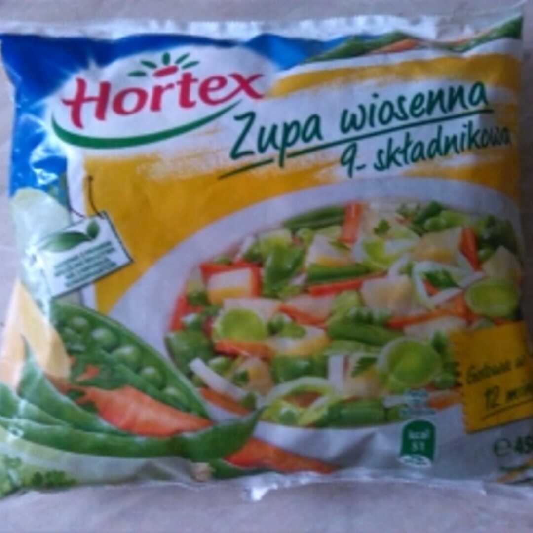 Hortex Zupa Wiosenna 9-Składnikowa