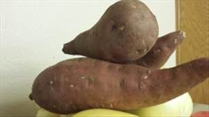 Japanese Sweet Potato