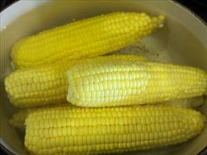 Yellow Sweet Corn (Kernels On Cob, Without Salt, Frozen, Drained, Cooked, Boiled)