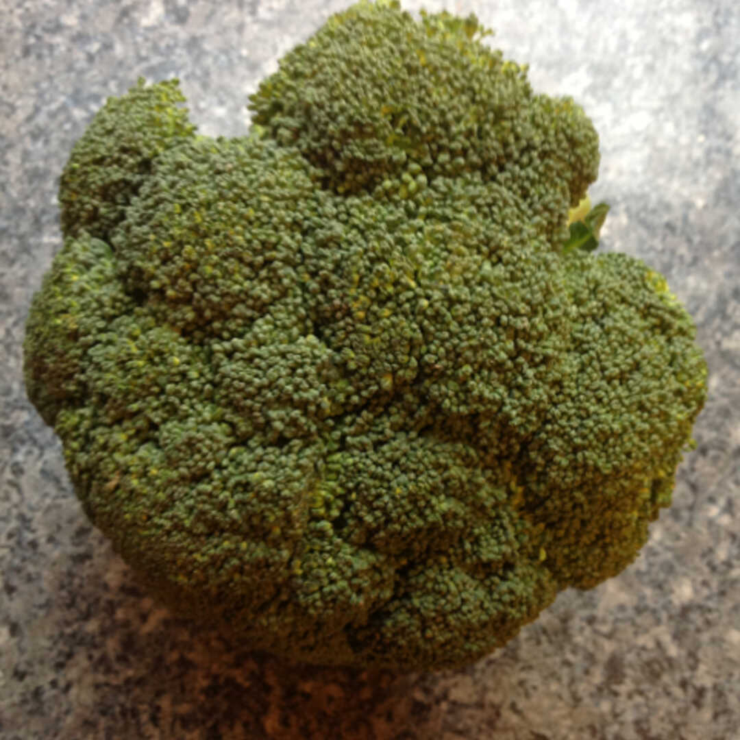 Cooked Broccoli (from Fresh, Fat Not Added in Cooking)