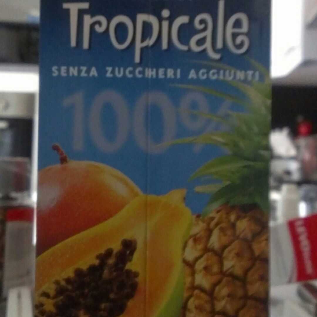 Dico Succo Tropicale