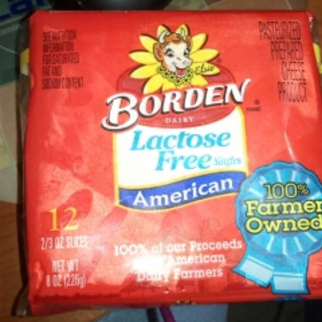 Borden American Cheese Singles