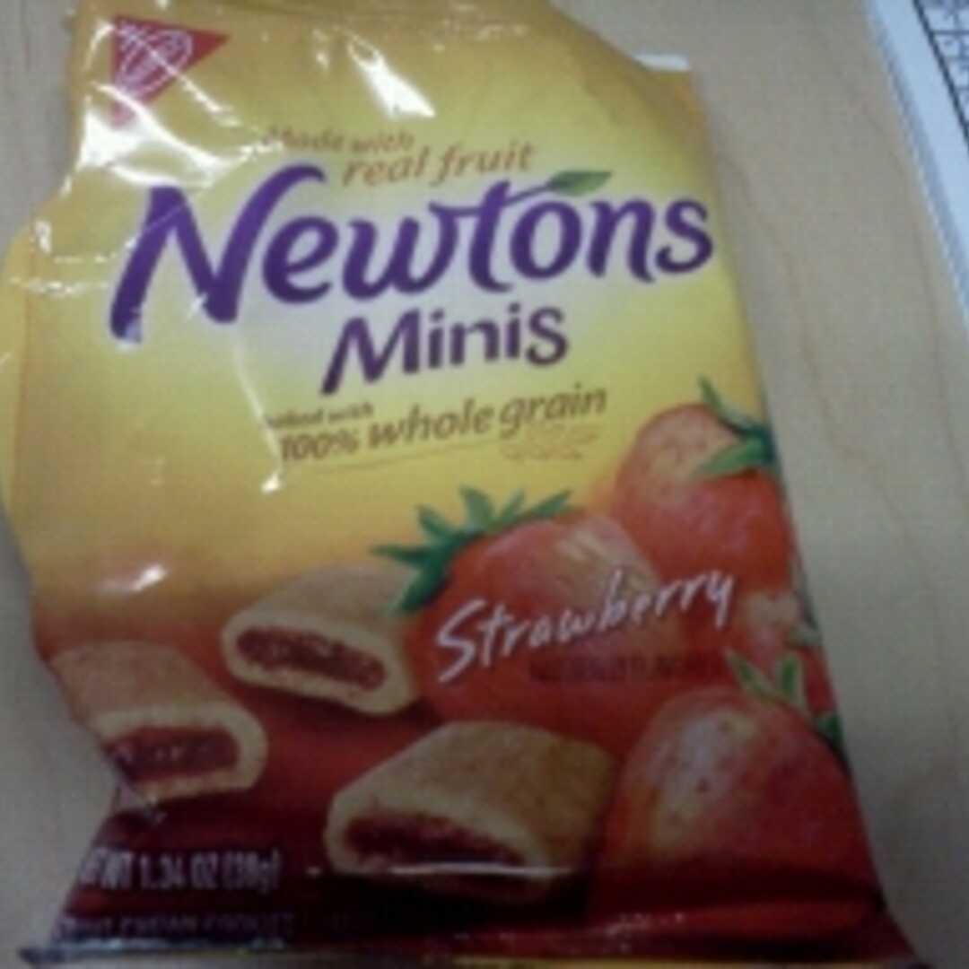 Newtons Fruit Chewy Strawberry Minis