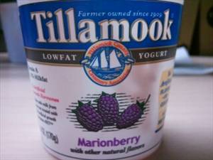 Tillamook Lowfat Marionberry Yogurt