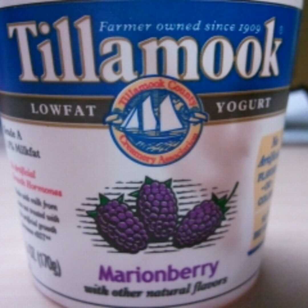 Tillamook Lowfat Marionberry Yogurt