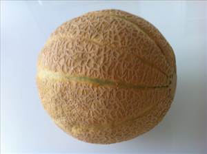 Melone (Muskmelone)