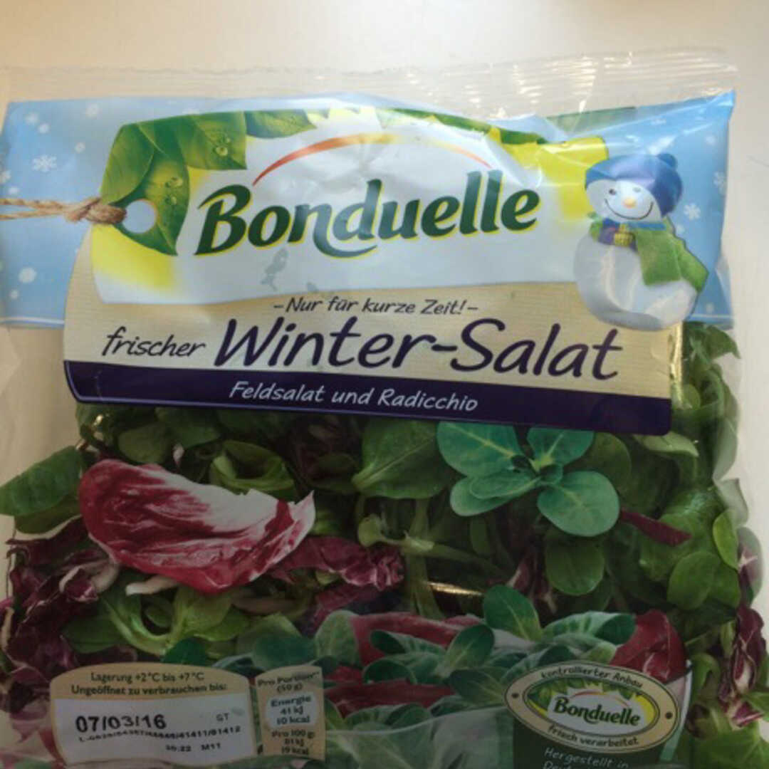 Bonduelle Frischer Winter-Salat