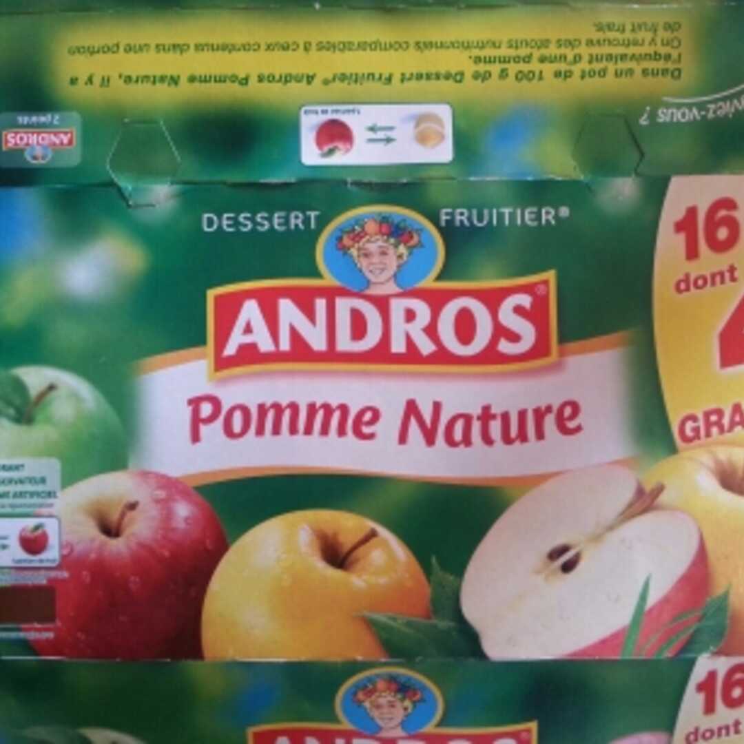 Andros Pomme Nature