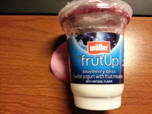 Muller Frutup Blueberry Bliss